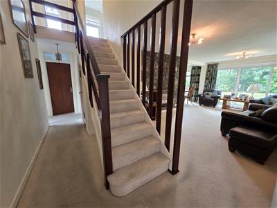 Picture 11